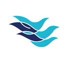 WCA世界货运联盟